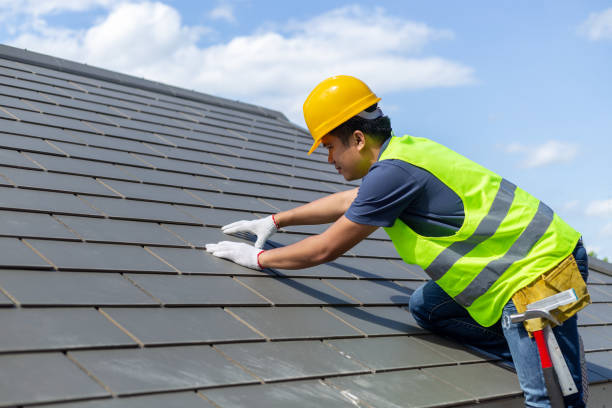 Best Roof Gutter Cleaning  in Ringgold, LA
