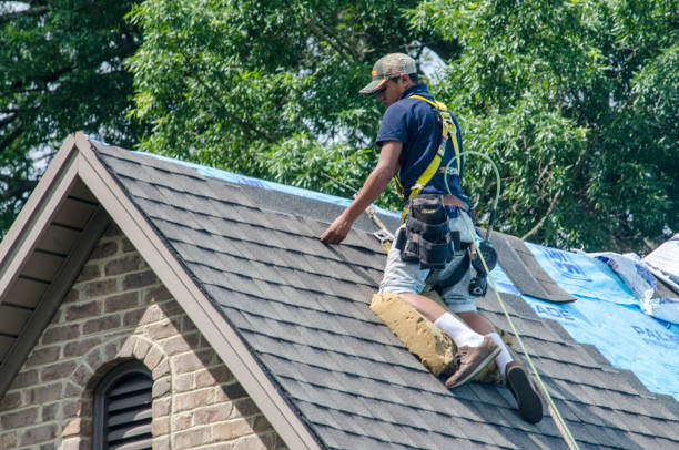 Best Gutter Installation and Roofing  in Ringgold, LA
